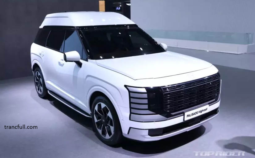 Hyundai Palisade Highroof